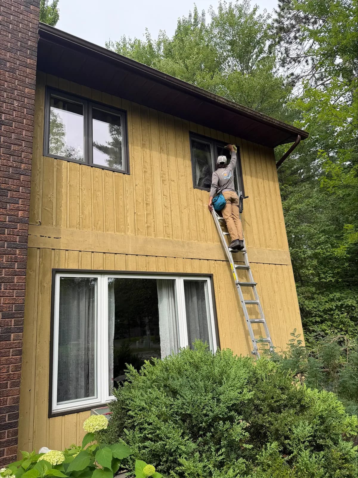 PVS crew member on an extension ladder cleaning a second-storey window of a wood-sided Ottawa Valley home