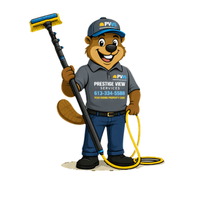 Sam, the PVS mascot beaver in crew uniform