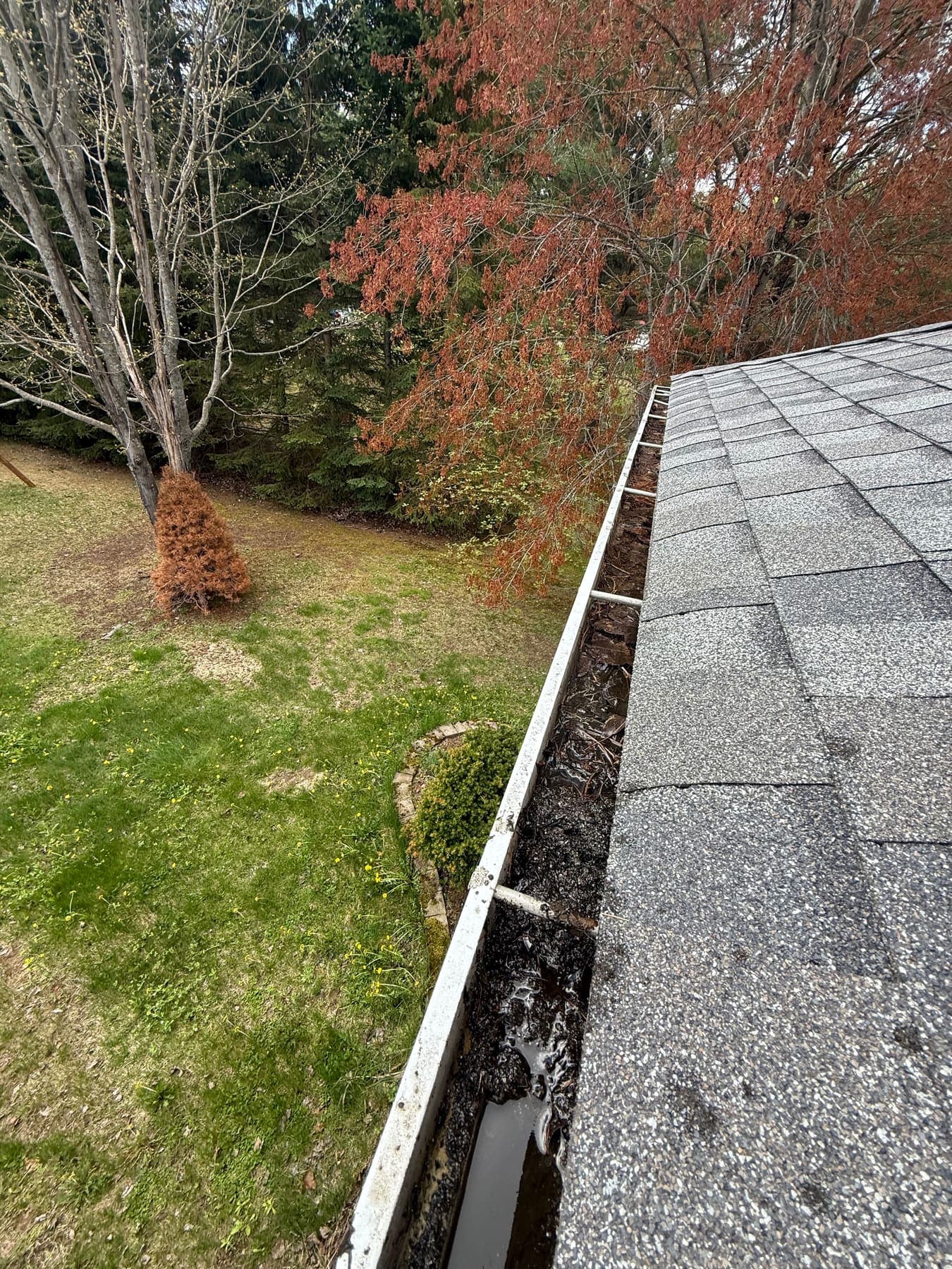 Residential gutter being inspected and cleared of leaves and debris