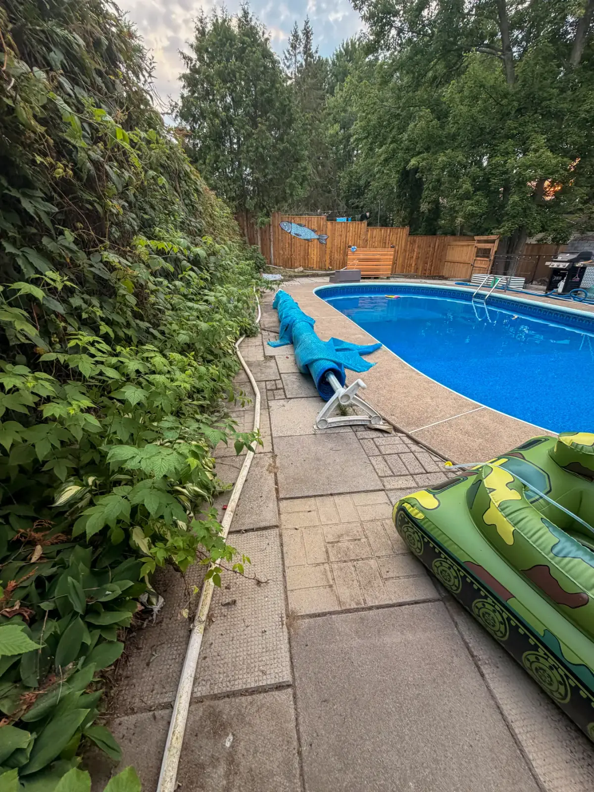 Overgrown vines and shifting patio slabs crowding a backyard pool before a PVS landscaping rebuild
