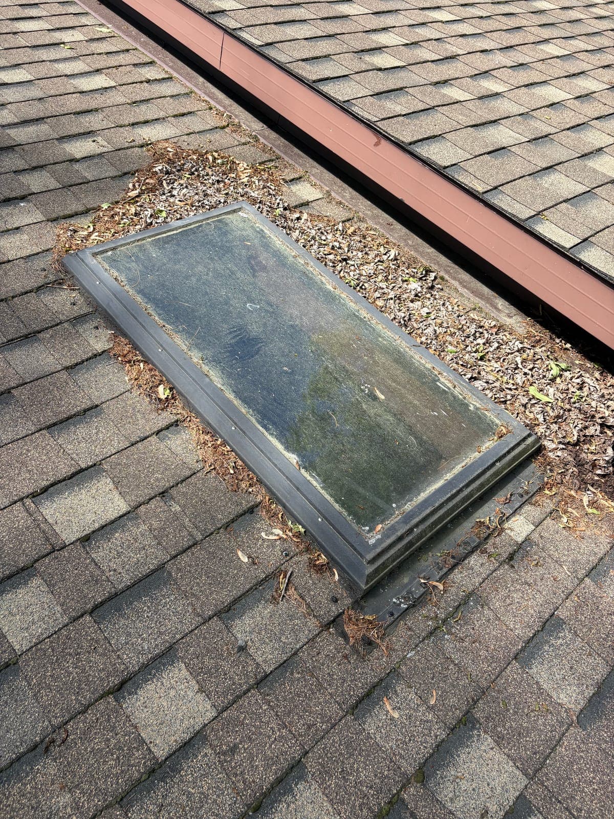 Skylight surrounded by leaves and debris before a PVS cleaning