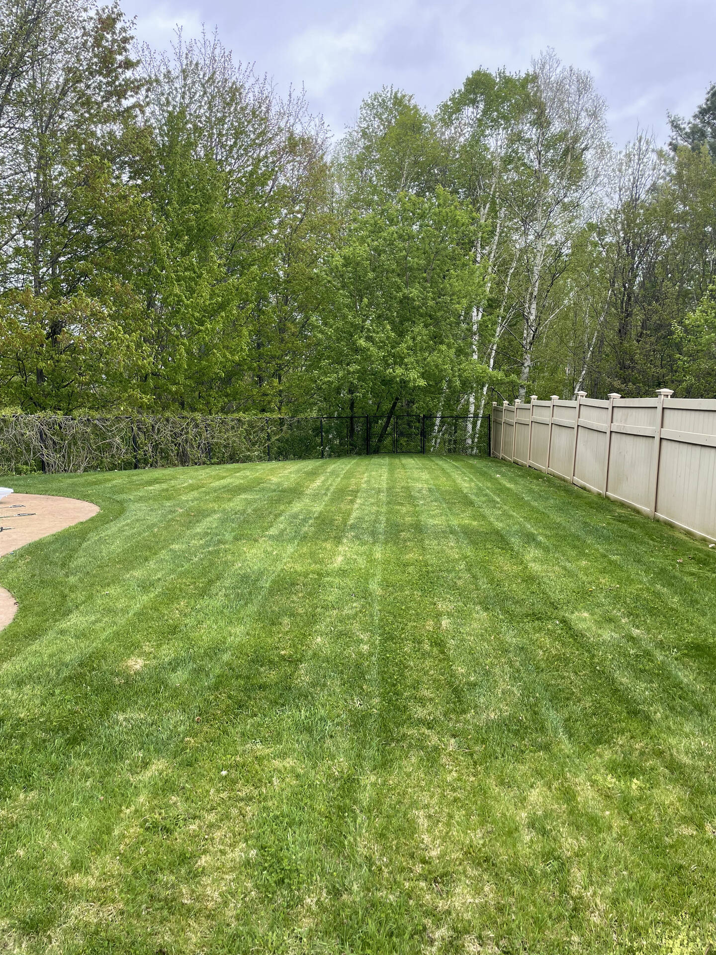 Professional lawn maintenance